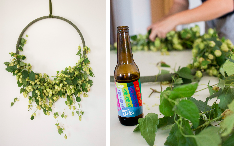 Varionica craft brewery DIY hop hoop


